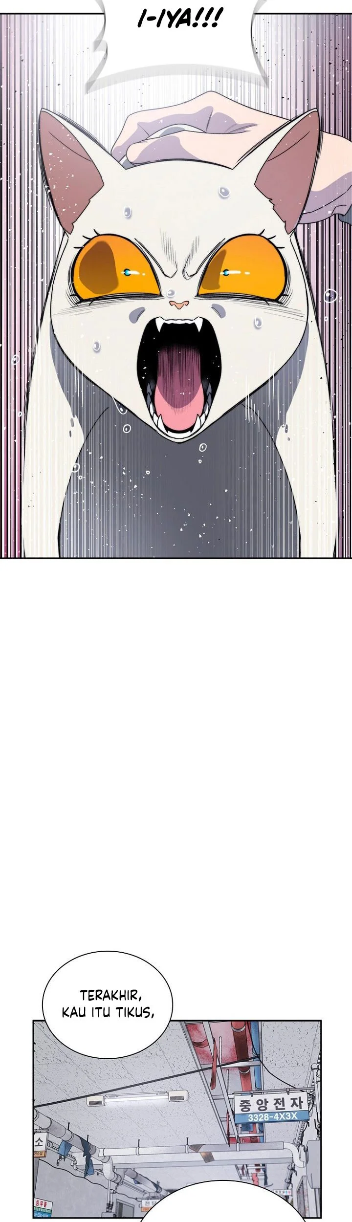 Chapter 5 - halaman 19