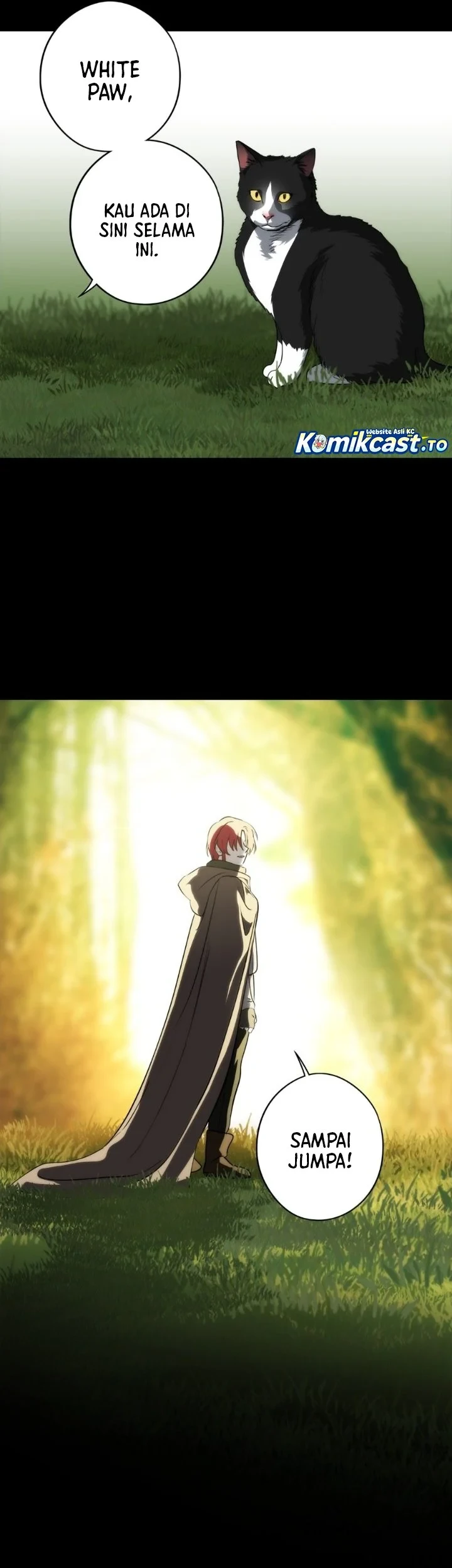 Chapter 228 - halaman 25