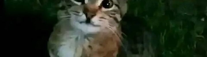 Chapter 5 - halaman 153