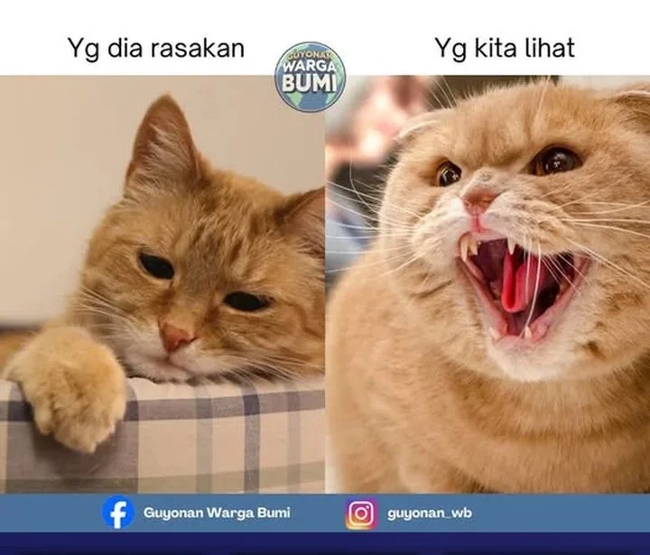 Chapter 279 - halaman 55