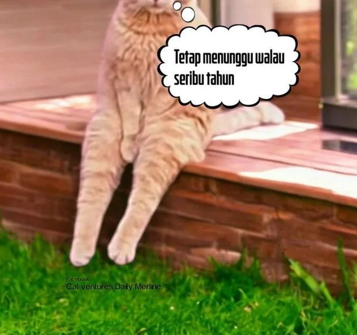 Chapter 153 - halaman 75
