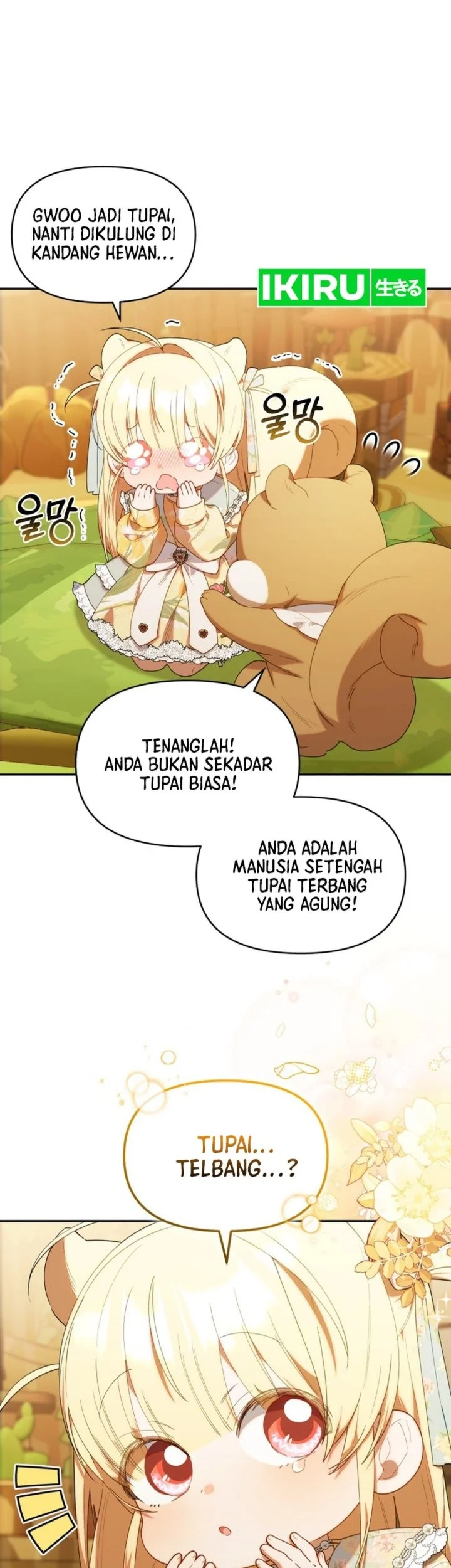 Chapter 63 - halaman 14