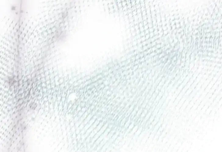 Chapter 55 - halaman 73