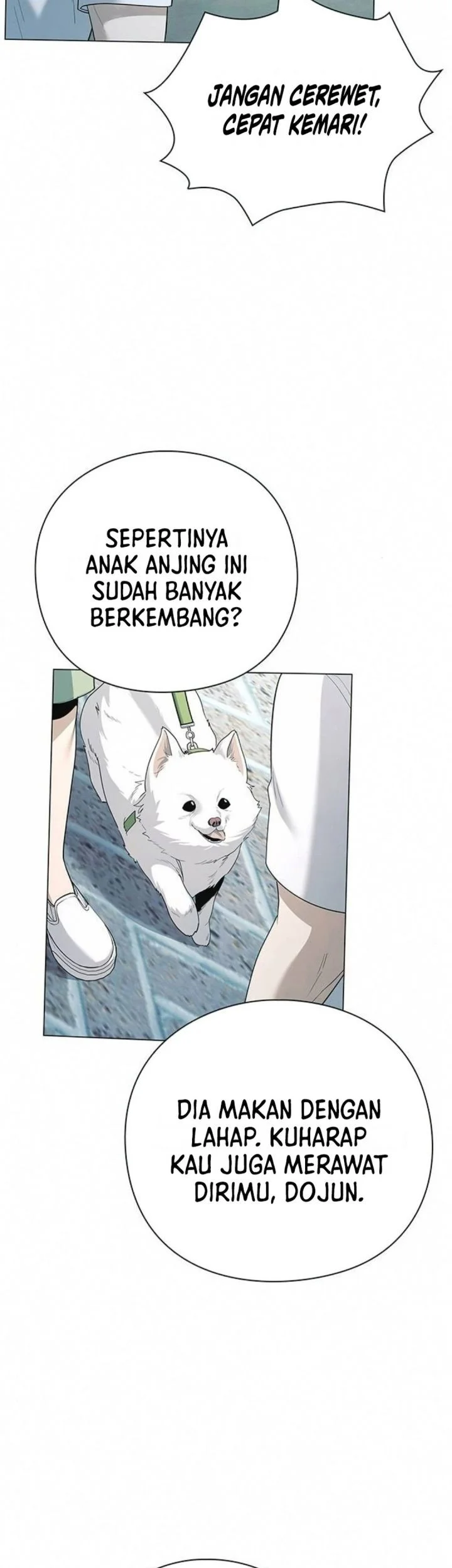 Chapter 27 - halaman 17