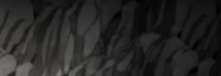 Chapter 158 - halaman 66