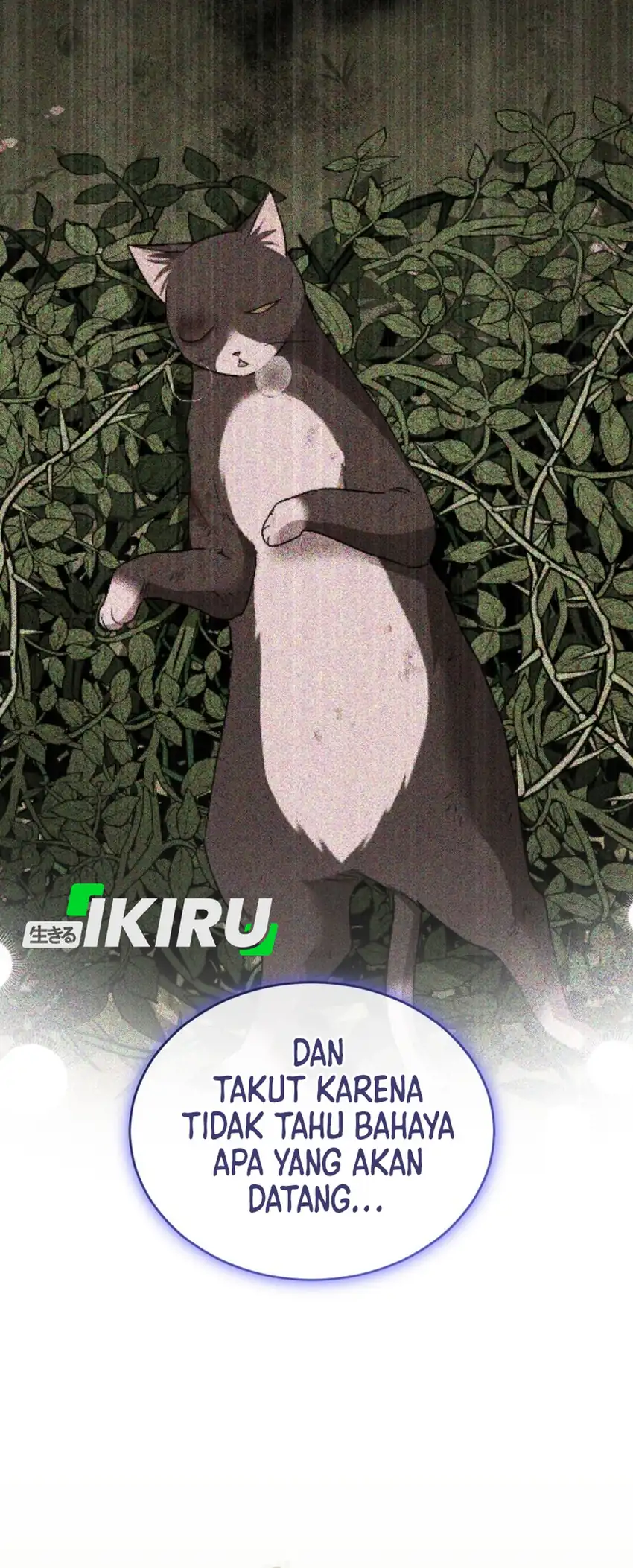Chapter 126 - halaman 12