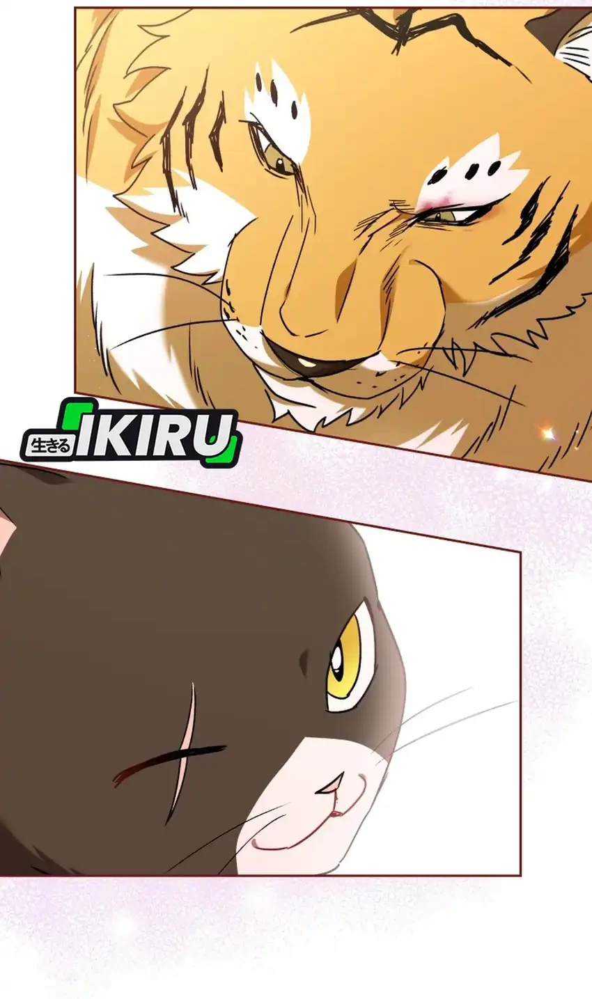 Chapter 127 - halaman 46