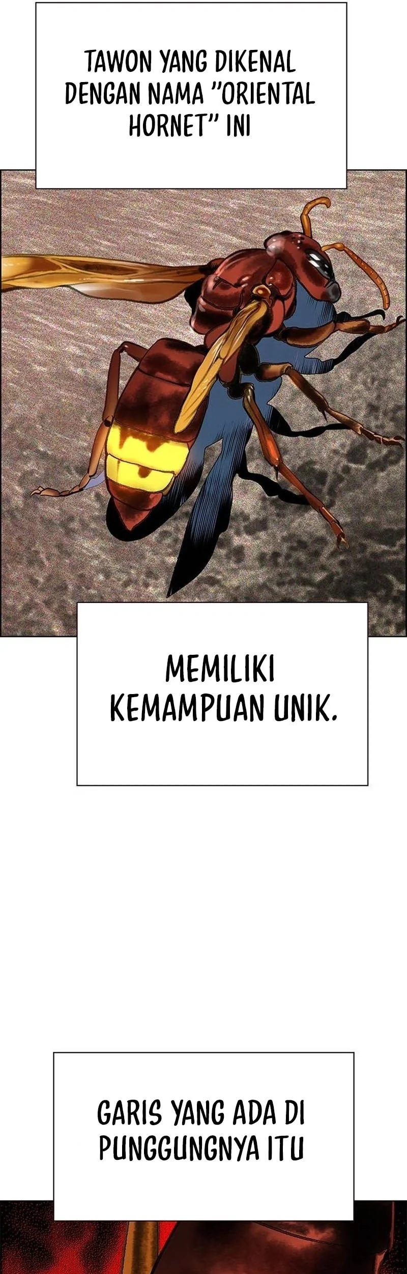 Chapter 186 - halaman 51