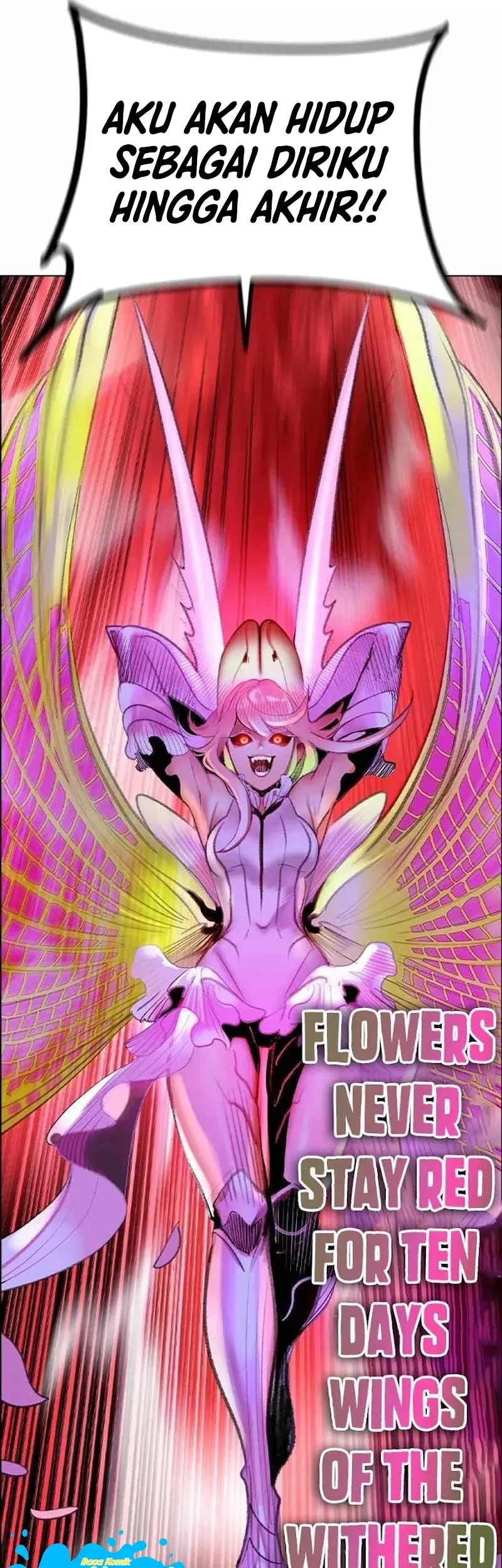 Chapter 213 - halaman 42