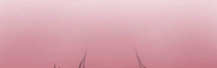 Chapter 83 - halaman 21