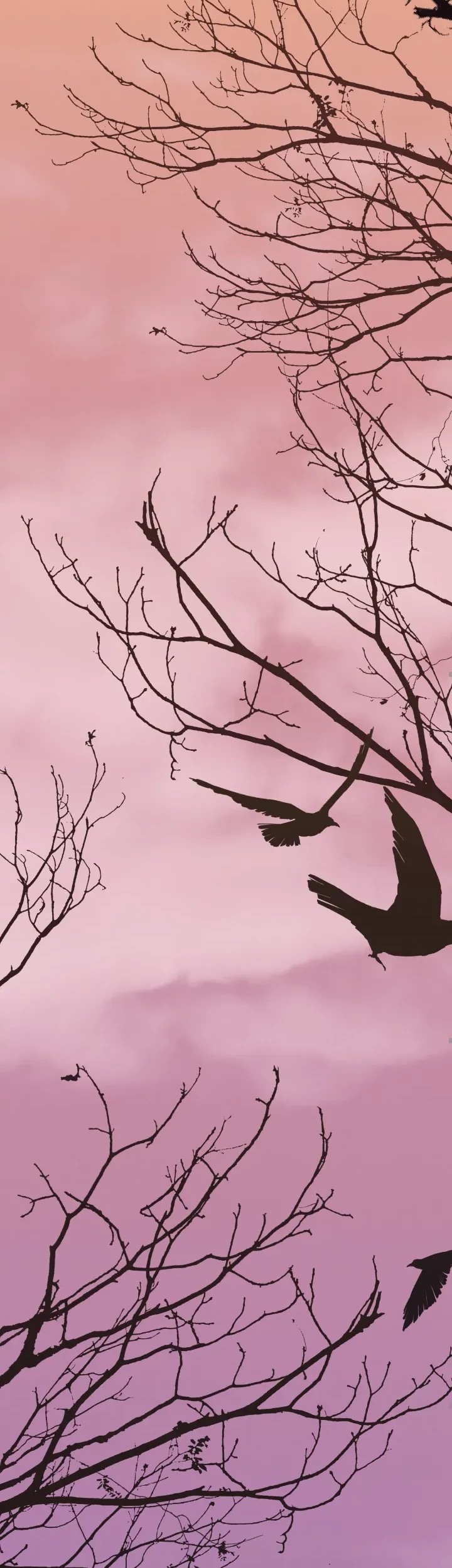 Chapter 23 - halaman 103