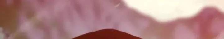 Chapter 153 - halaman 33