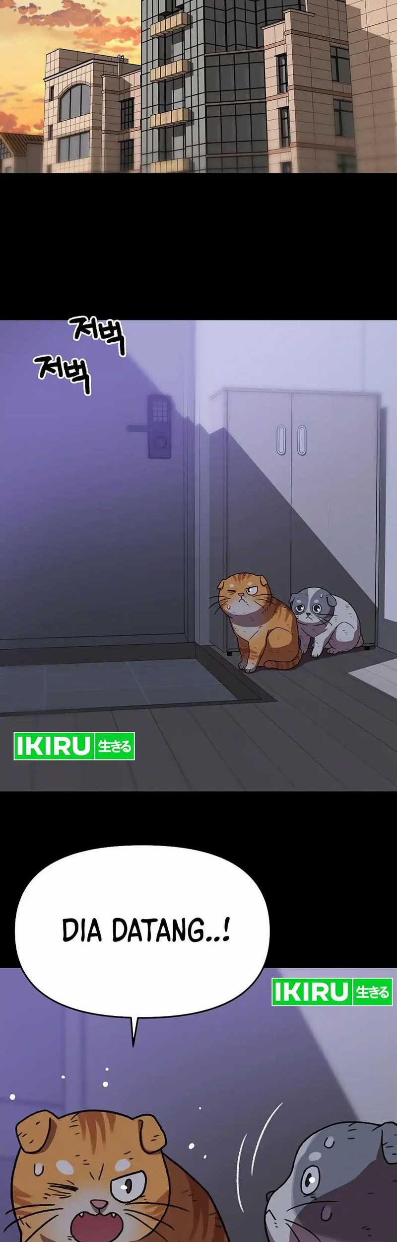 Chapter 137 - halaman 34