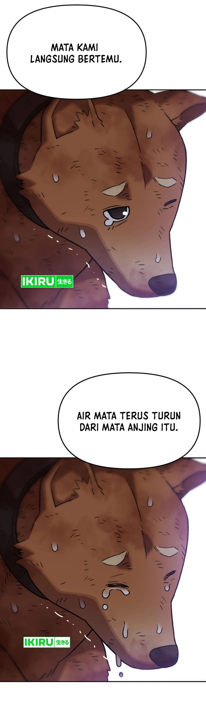 Chapter 145 - halaman 33