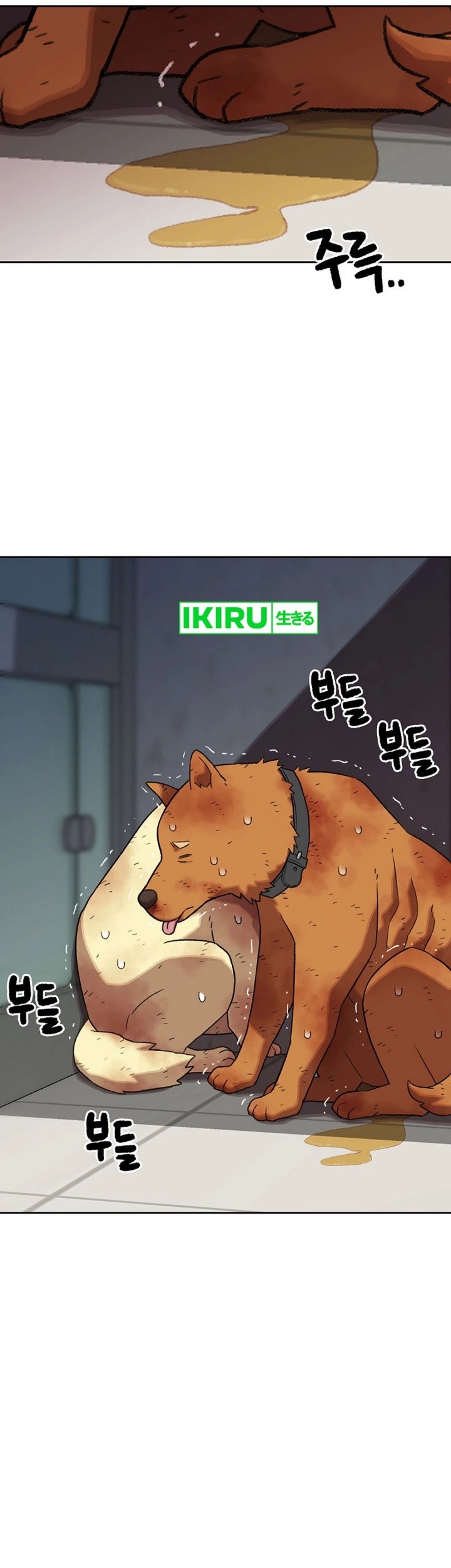 Chapter 147 - halaman 21