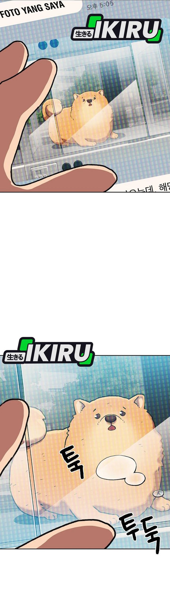 Chapter 162 - halaman 36