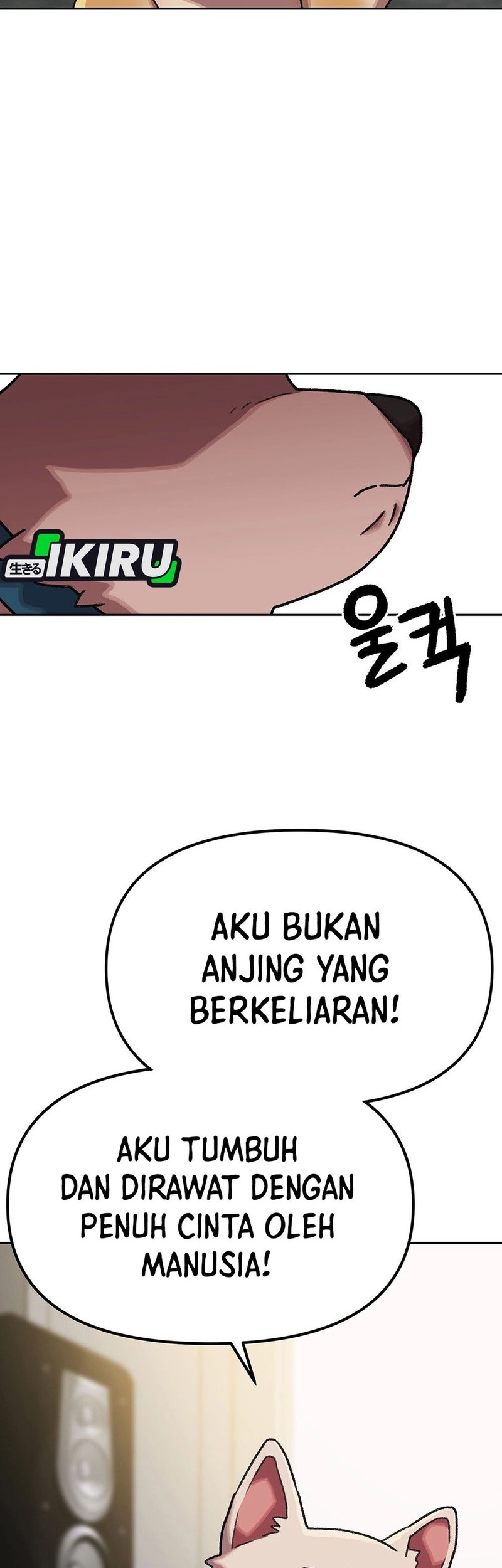 Chapter 167 - halaman 12