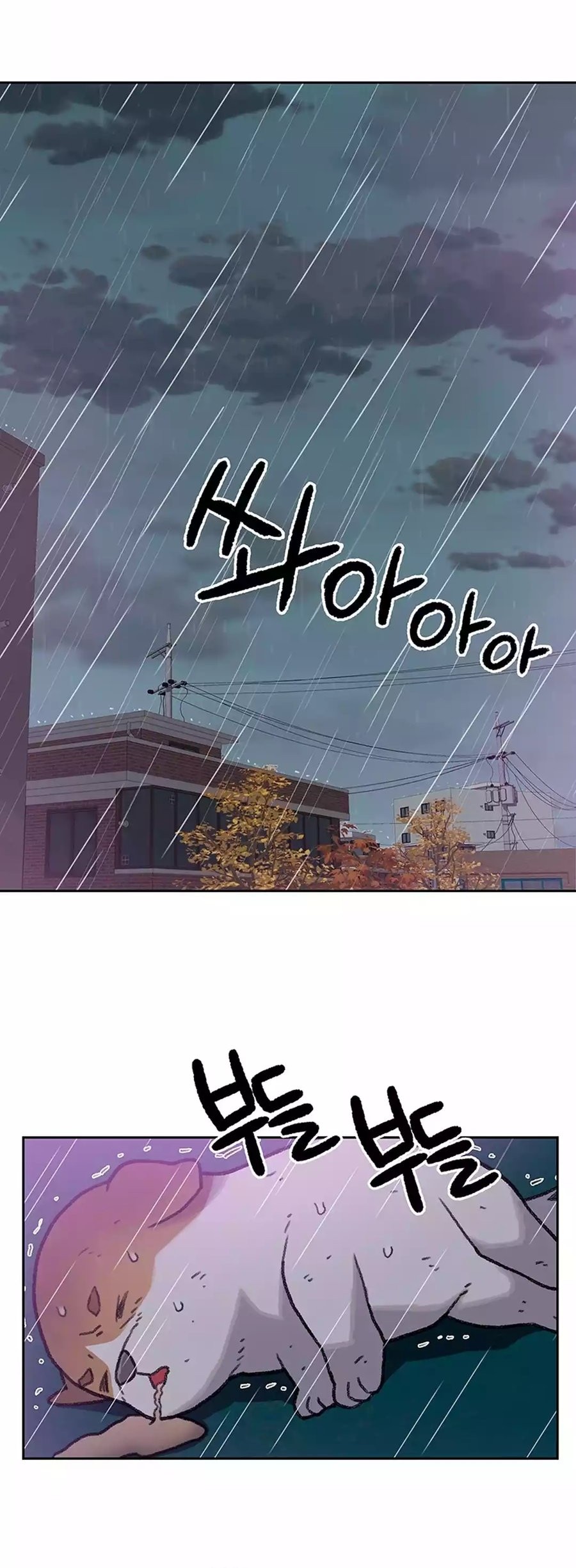 Chapter 26 - halaman 21