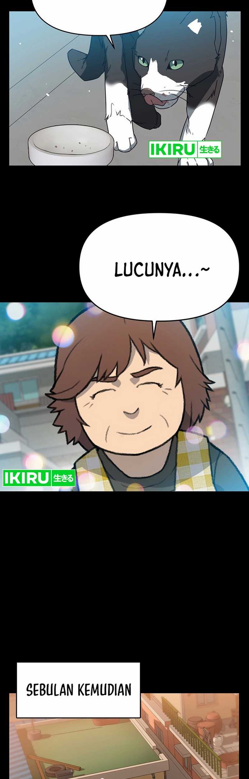 Chapter 53 - halaman 13