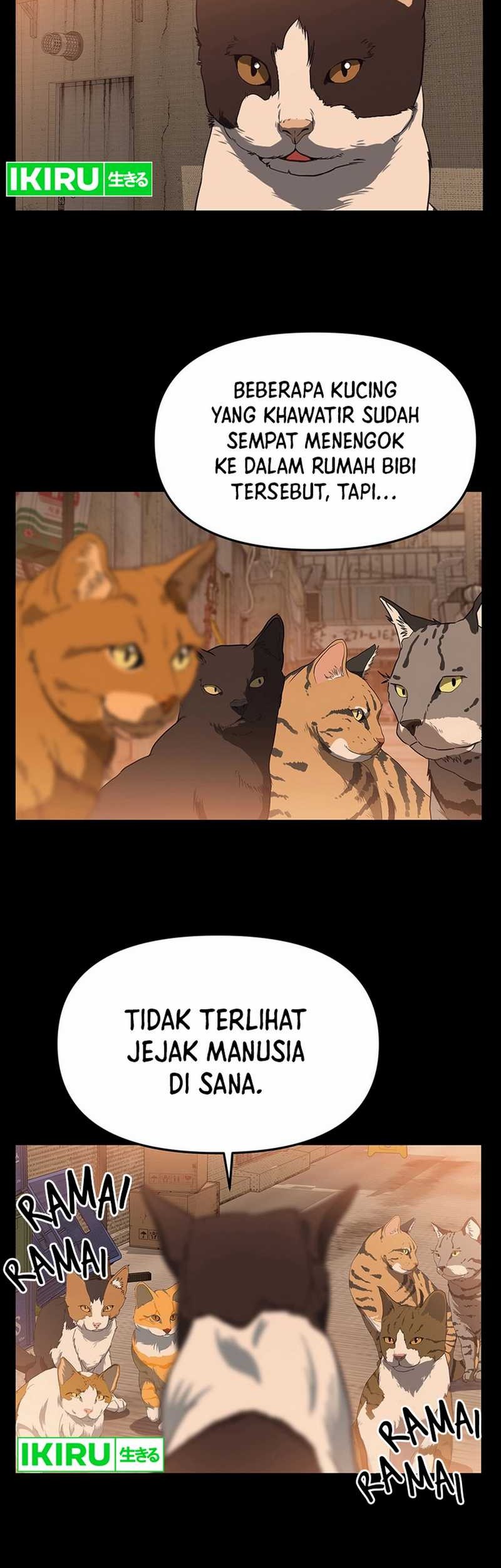 Chapter 53 - halaman 17