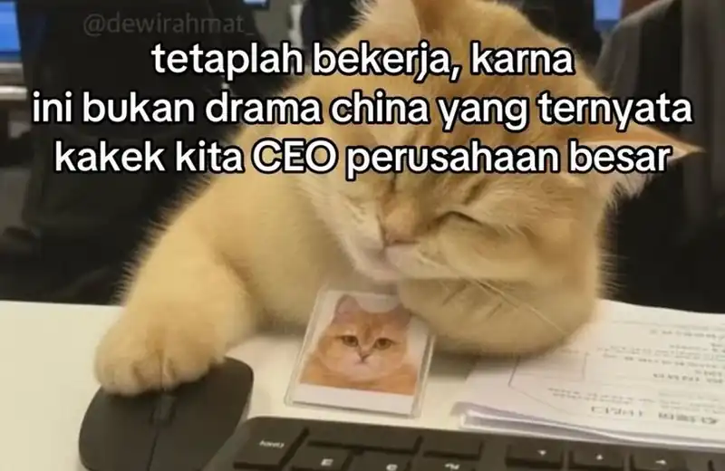 Chapter 61 - halaman 88