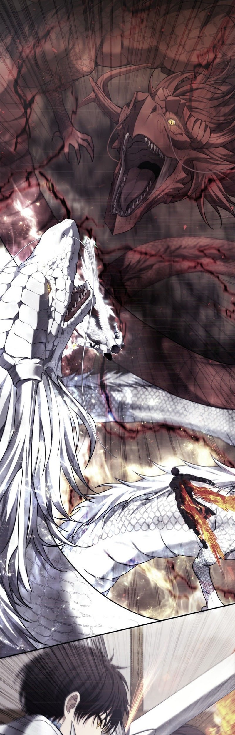 Chapter 214 - halaman 50