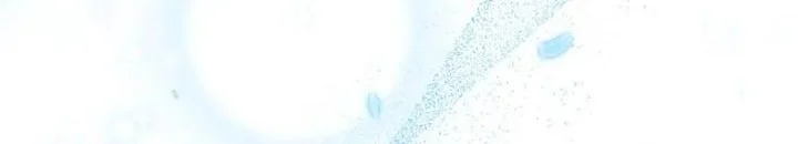 Chapter 44 - halaman 85