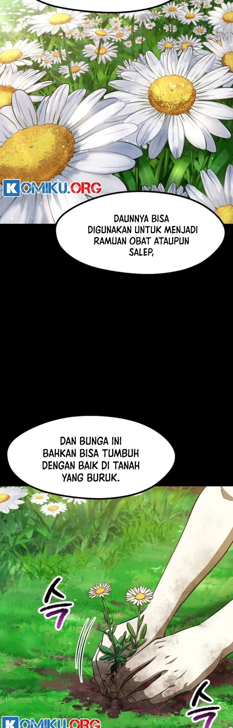 Chapter 266 - halaman 24