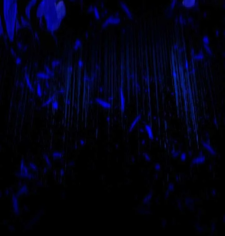 Chapter 205 - halaman 37