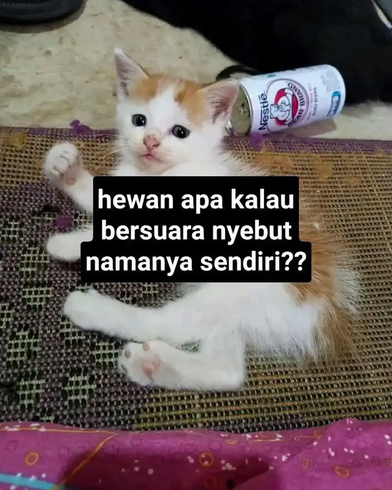 Chapter 11 - halaman 88
