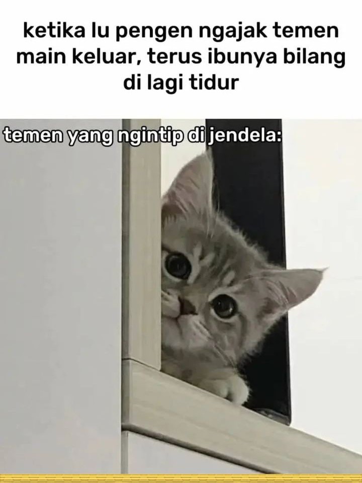 Chapter 20 - halaman 96