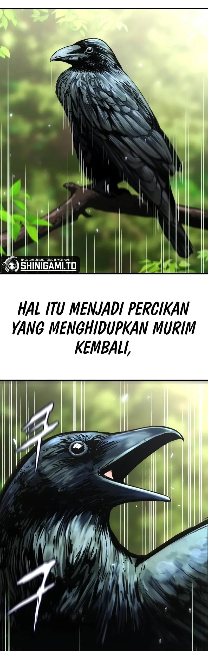 Chapter 1 - halaman 5