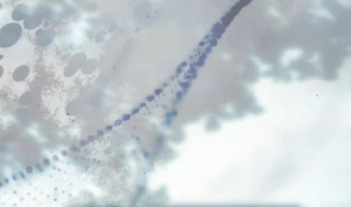 Chapter 1 - halaman 38