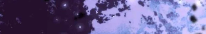 Chapter 17 - halaman 33
