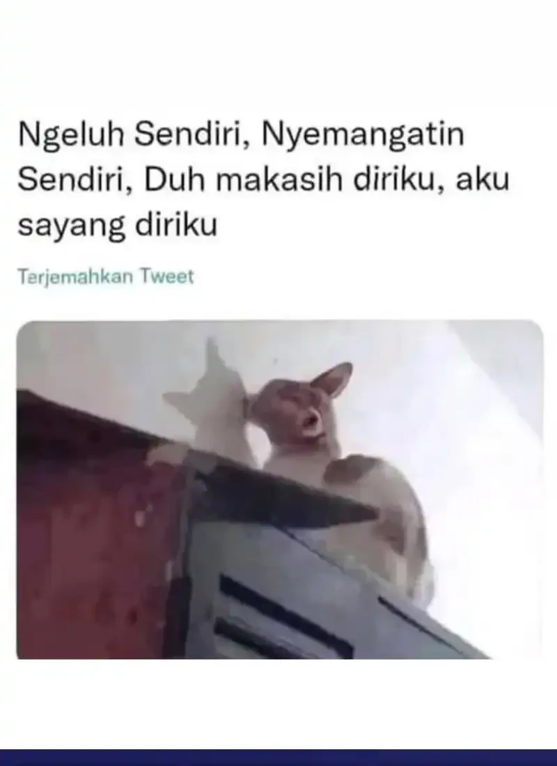 Chapter 45 - halaman 127