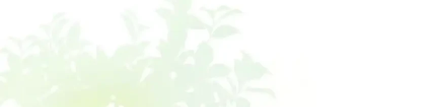 Chapter 66 - halaman 25