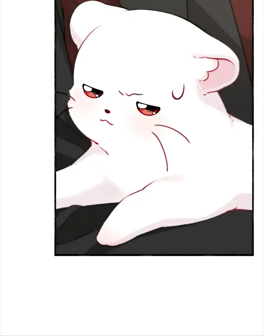 Chapter 4 - halaman 6