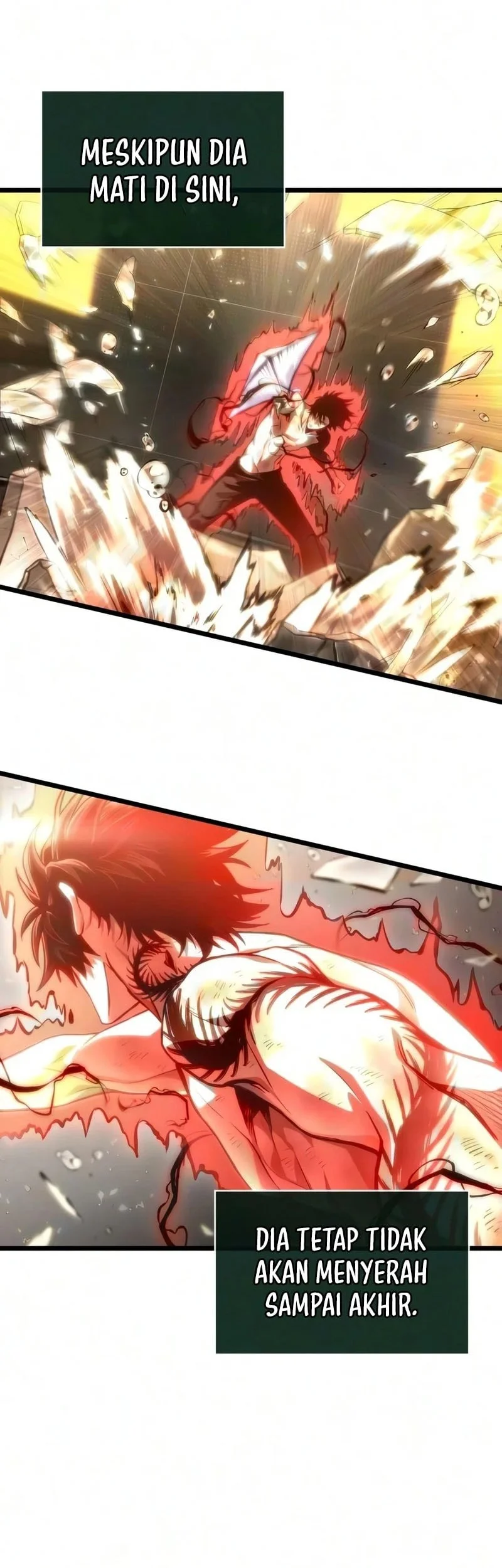 Chapter 242 - halaman 5