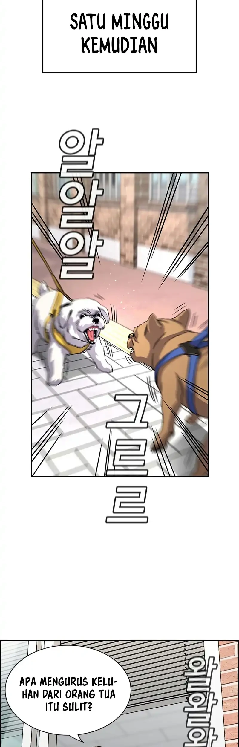 Chapter 242 - halaman 29