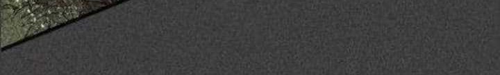Chapter 41 - halaman 18