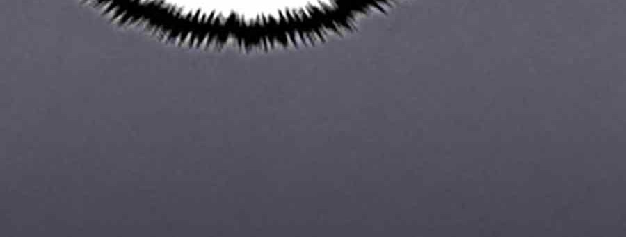 Chapter 12 - halaman 29