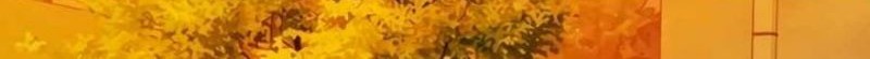 Chapter 14 - halaman 106