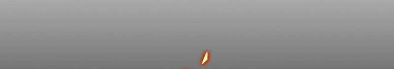 Chapter 11 - halaman 73