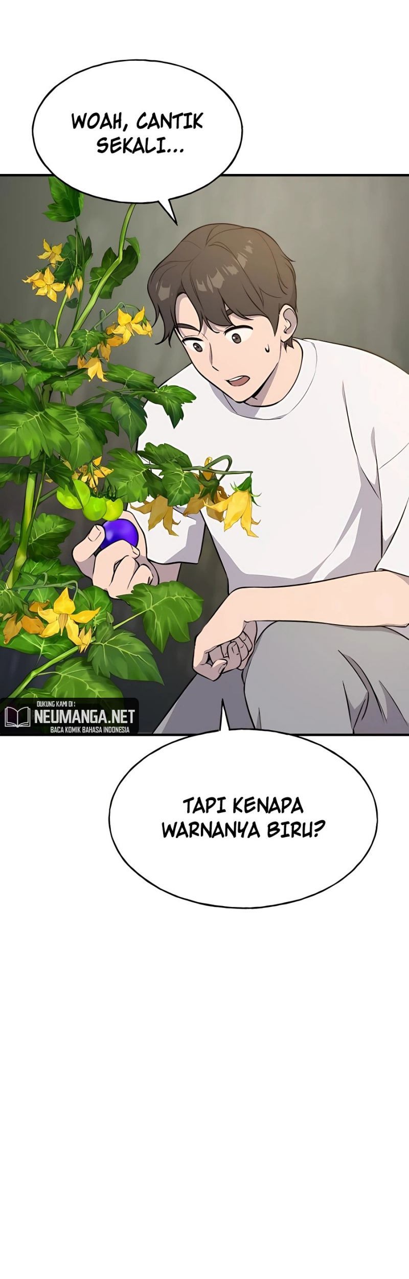 Chapter 5 - halaman 31