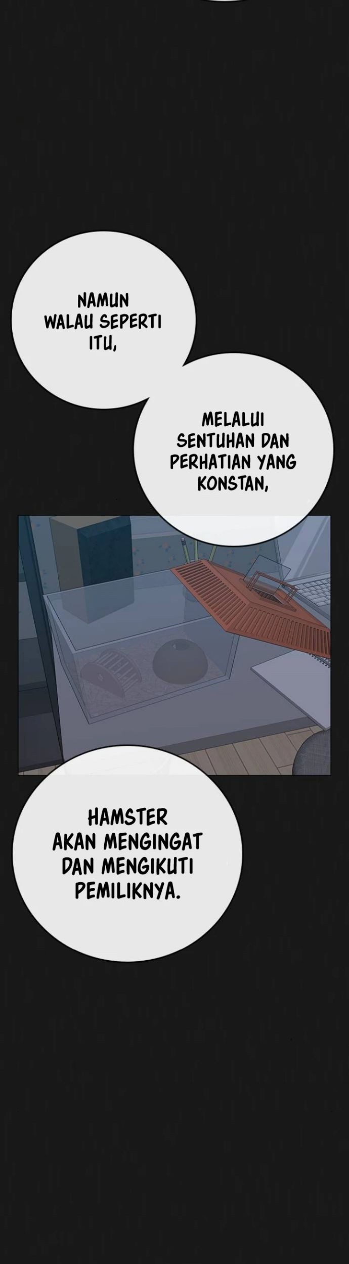 Chapter 84 - halaman 5