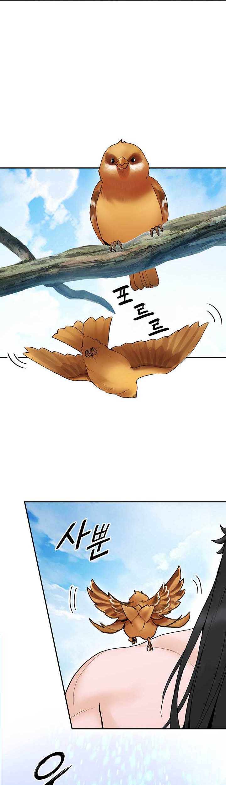 Chapter 31 - halaman 27