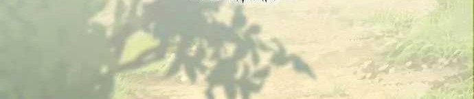 Chapter 8 - halaman 83