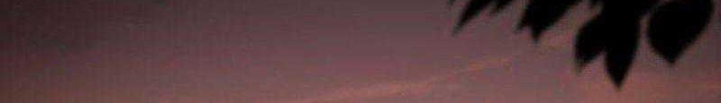 Chapter 14 - halaman 57