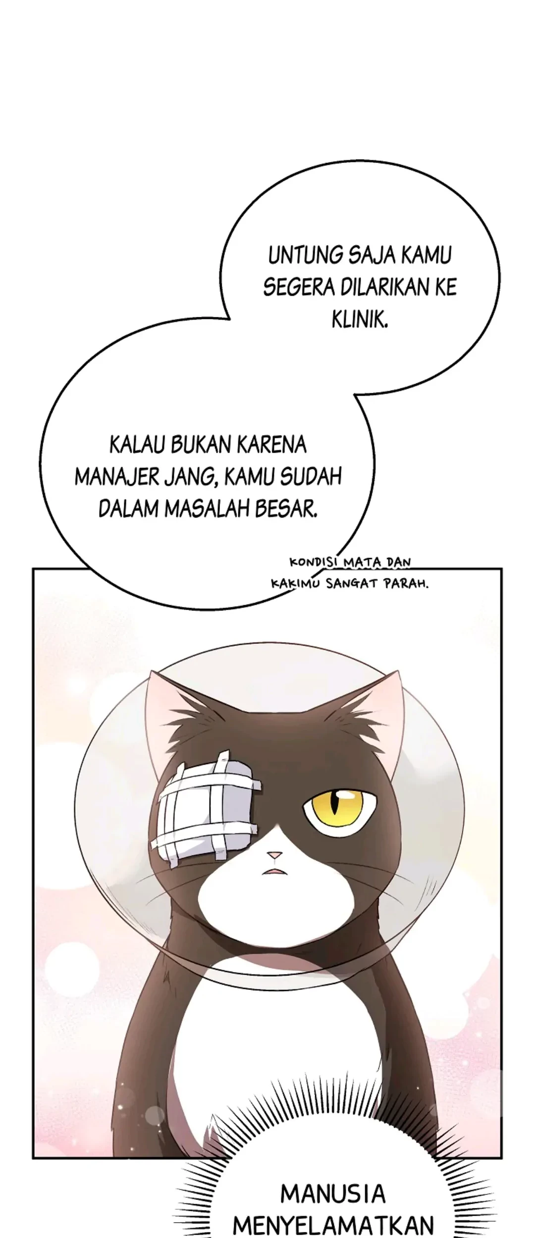 Chapter 28 - halaman 25