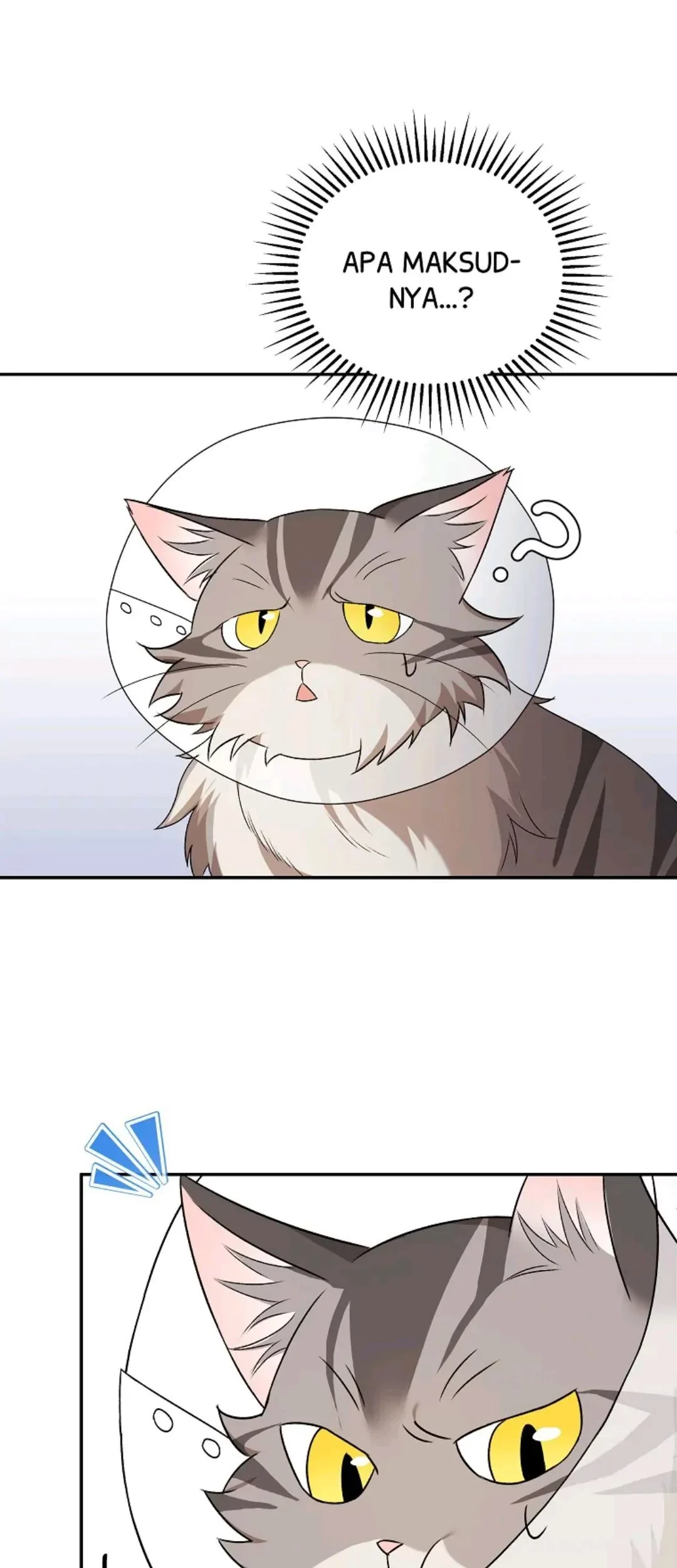 Chapter 14 - halaman 85